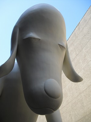 CIMG0220.jpg