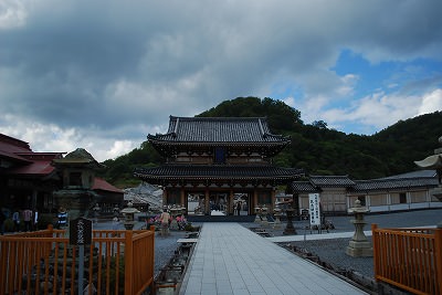DSC_0247.jpg