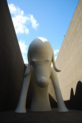 DSC_0431.jpg