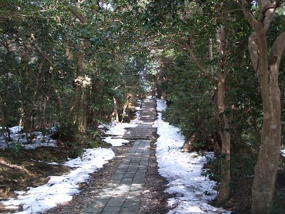DSCF3145.jpg