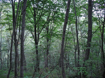 CIMG0456.jpg