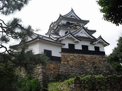 彦根城.jpg